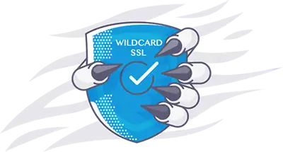 wildcard ssl