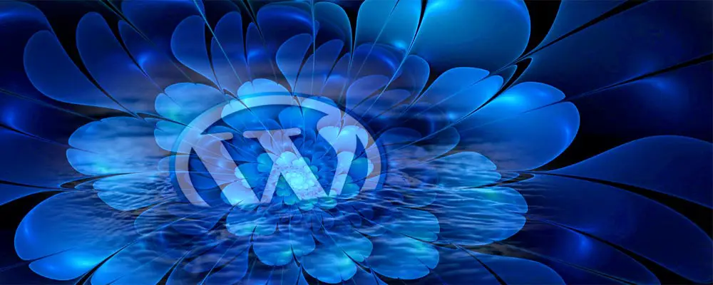 WordPress & WooCommerce Services